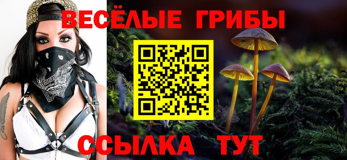 Бахчисарай  Псилоцибиновые грибы прущие грибы  Псилоцибиновые грибы Psilocybine cubensis  наркота  Вход с VPN 