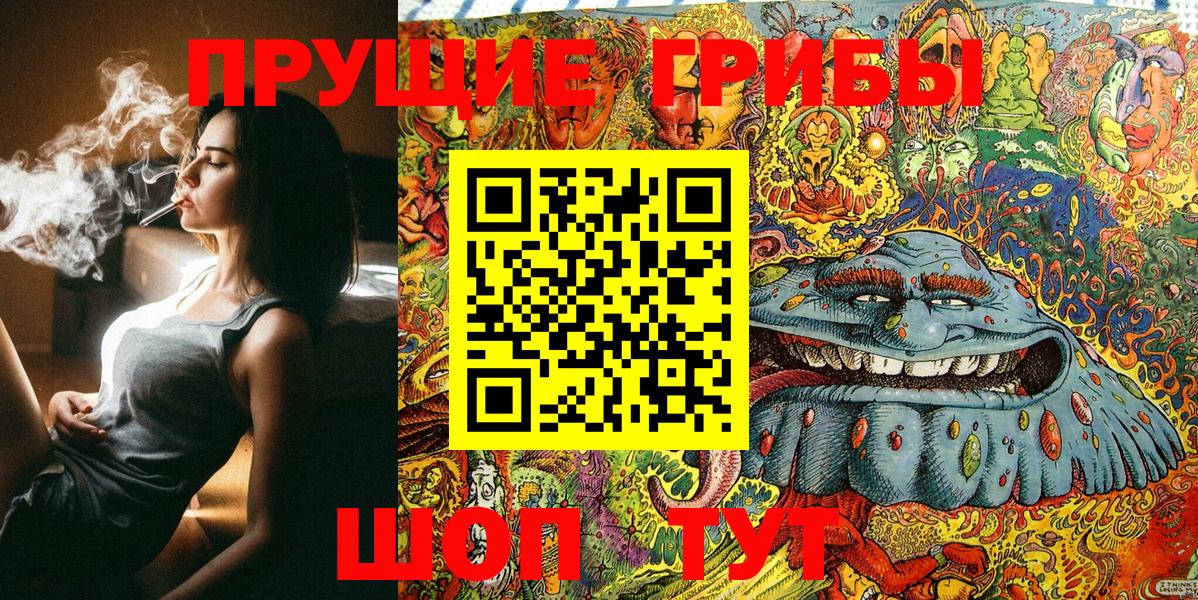 Псилоцибиновые грибы Psilocybe Бахчисарай